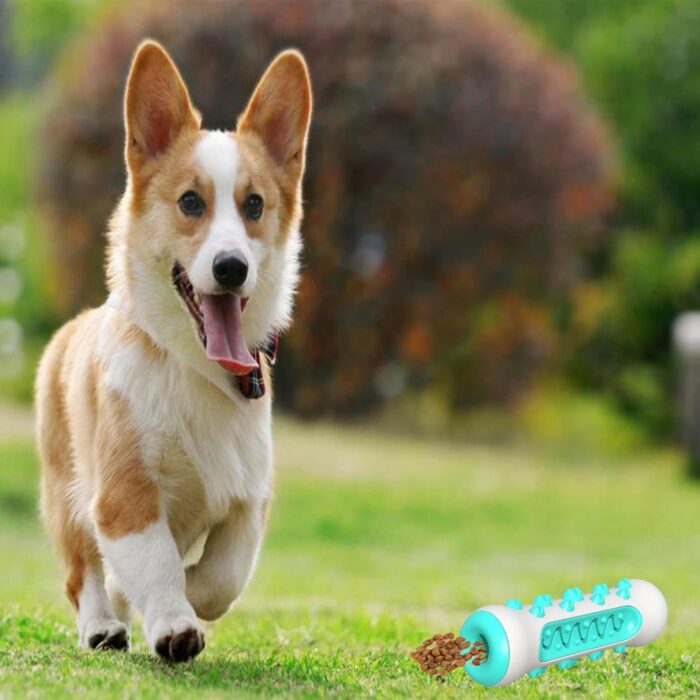 Juguete para Limpiar los Dientes del Perro