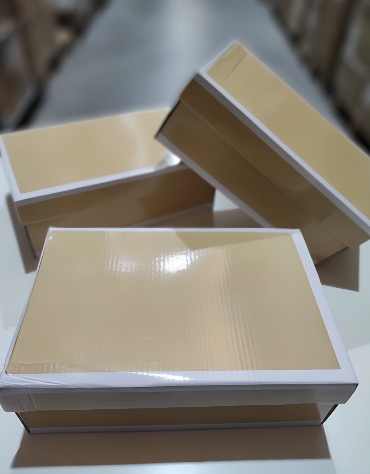 Calzado deportivo R213 beige filo blanco 36