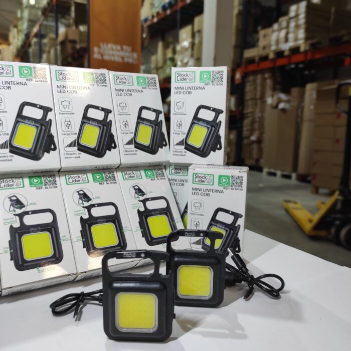 IMG_20241221_104215-min_1735503687 Linterna Llavero Mini COB LED