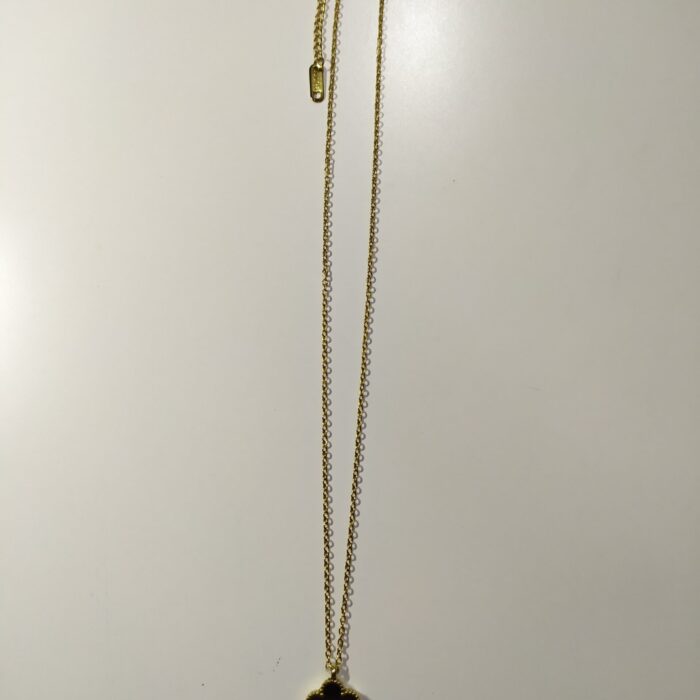 Collar con colgante trebol cinco hojas negro