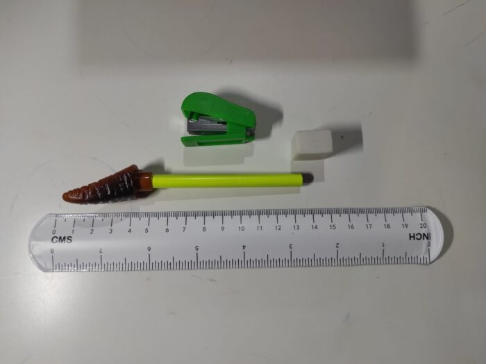 IMG_20250225_161846-min_1740605853-1 Juego de papelería de dinosaurio 5 en 1