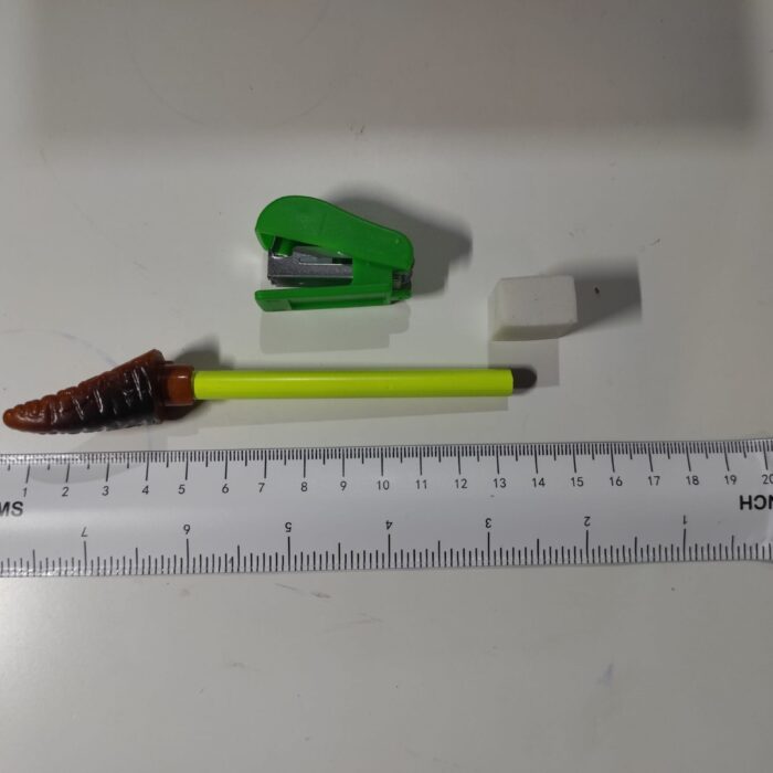 Juego de papelería de dinosaurio 5 en 1