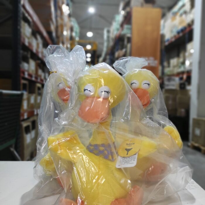Pato bailarín hablador