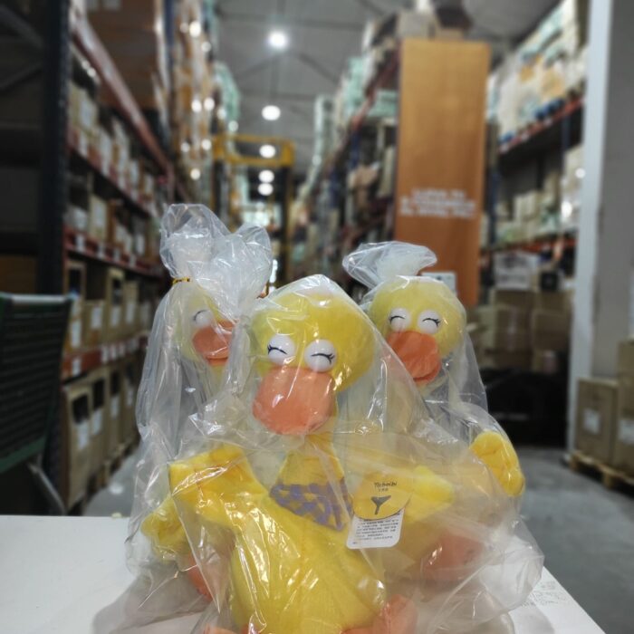 Pato bailarín hablador