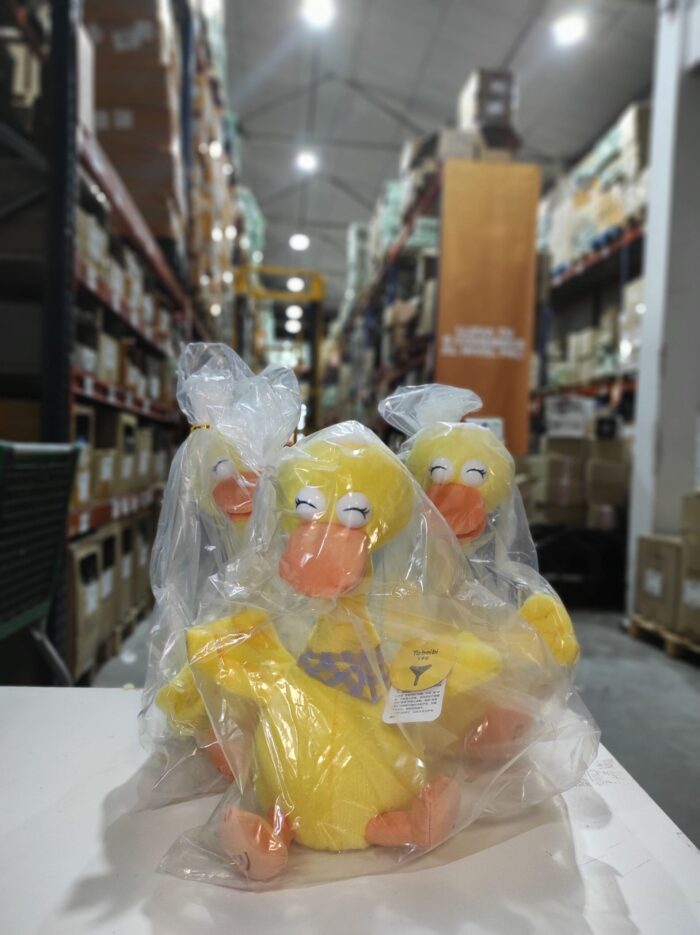 Pato bailarín hablador