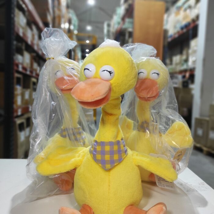 Pato bailarín hablador