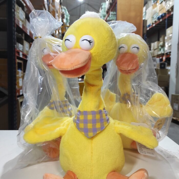 Pato bailarín hablador