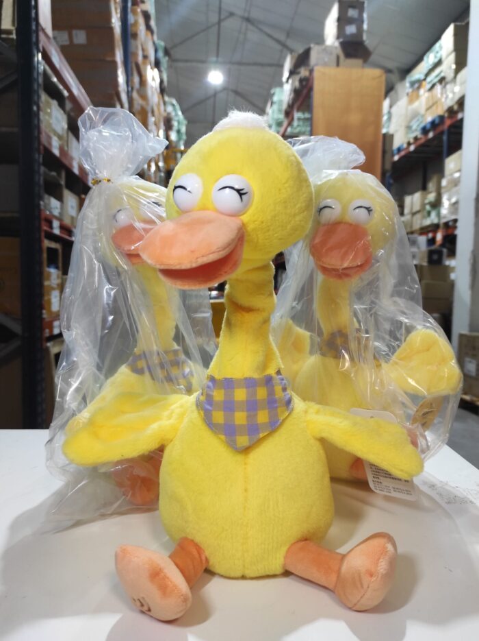 Pato bailarín hablador