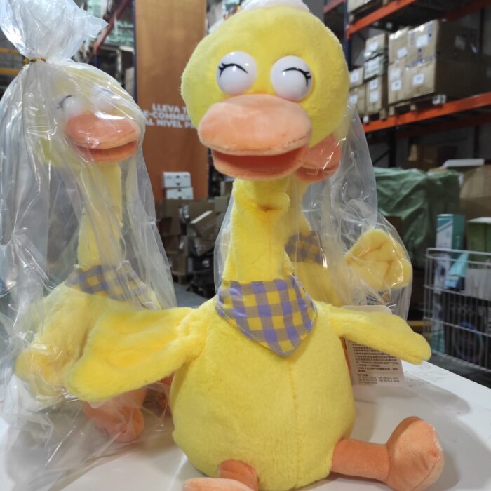 Pato bailarín hablador