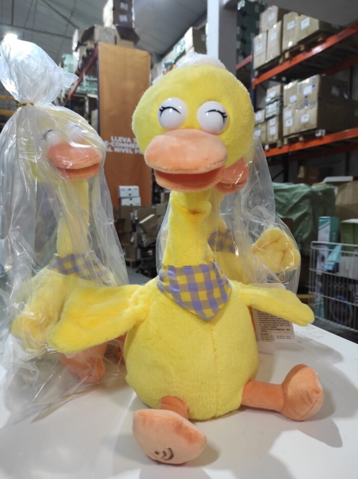 Pato bailarín hablador
