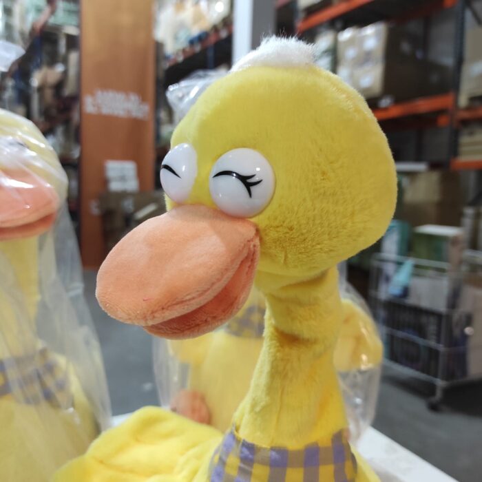 Pato bailarín hablador