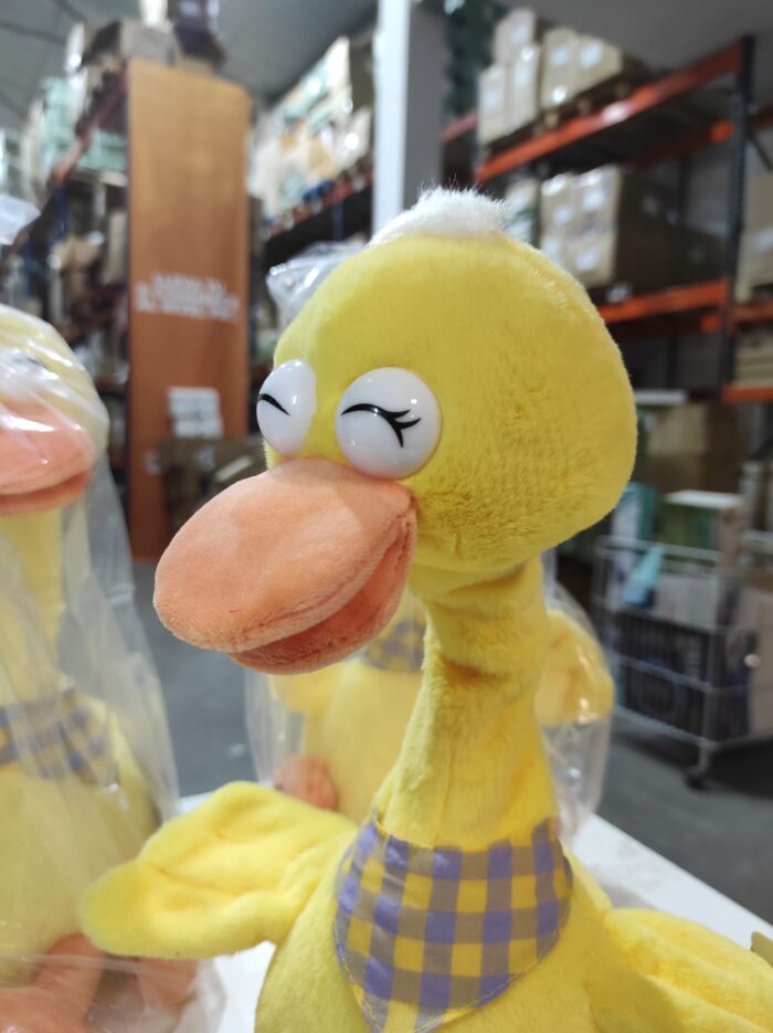 Pato bailarín hablador