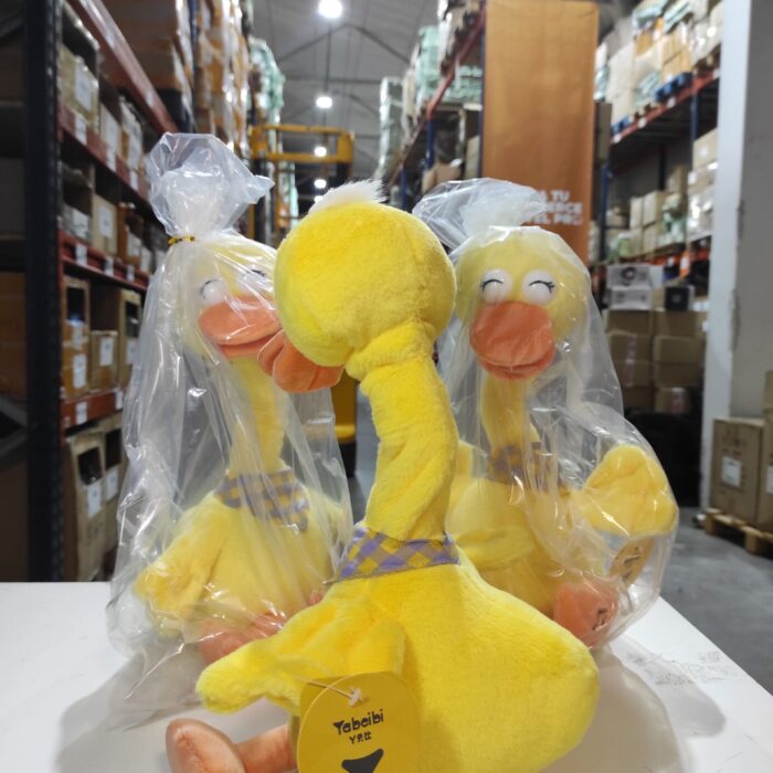 Pato bailarín hablador