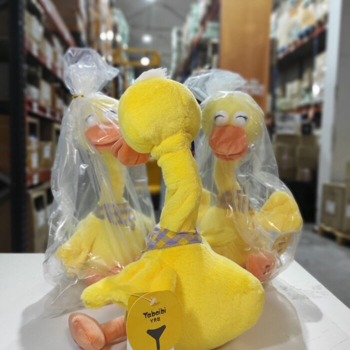 Pato bailarín hablador