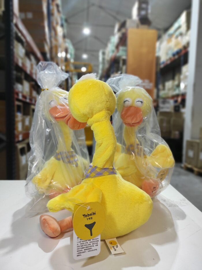 Pato bailarín hablador