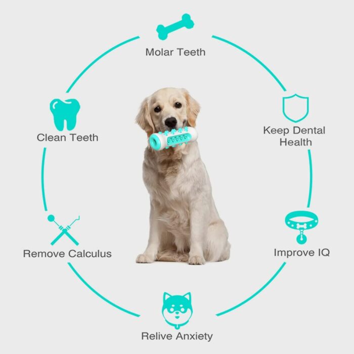 Juguete para Limpiar los Dientes del Perro
